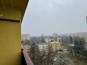 Pronájem bytu 1+1, Ostrava - Hrabůvka, Kašparova, 42 m2