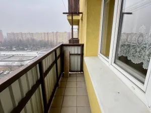 Pronájem bytu 1+1, Ostrava - Hrabůvka, Kašparova, 42 m2