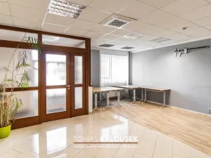 Pronájem obchodního prostoru, Ivančice - Němčice, Ke Karlovu, 129 m2