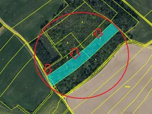 Prodej lesa, Týnec nad Labem, 7079 m2