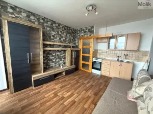 Pronájem bytu 1+kk, Most, U Věžových domů, 22 m2
