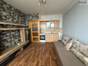 Pronájem bytu 1+kk, Most, U Věžových domů, 22 m2