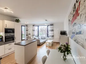 Pronájem bytu 4+kk, Praha - Dolní Chabry, K Beranovu, 188 m2