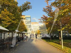 Pronájem kanceláře, Praha - Holešovice, Jankovcova, 330 m2