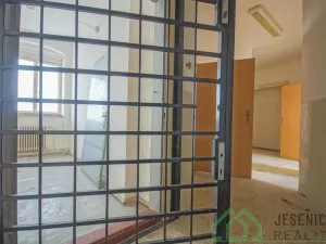 Prodej rodinného domu, Javorník, 17. listopadu, 790 m2