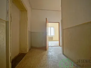 Prodej rodinného domu, Javorník, 17. listopadu, 790 m2