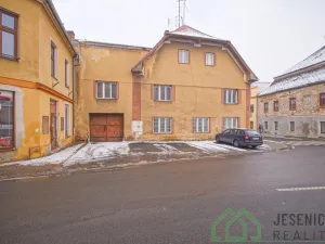 Prodej rodinného domu, Javorník, 17. listopadu, 790 m2
