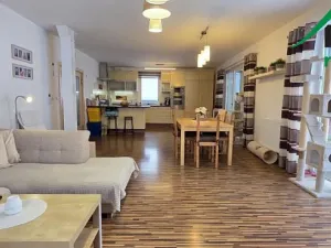 Prodej bytu 5+kk, Studánka, 189 m2