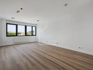 Pronájem bytu 2+kk, Praha - Holešovice, Jankovcova, 65 m2