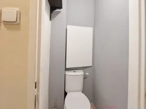 Pronájem bytu 2+1, Ostrava, Hlavní třída, 60 m2