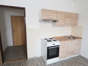 Pronájem bytu 1+kk, Písek, Dr. M. Horákové, 20 m2