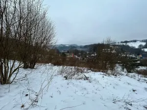 Dražba pozemku pro bydlení, Bušín, 3553 m2