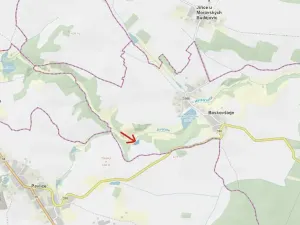 Prodej lesa, Boskovštejn, 2506 m2