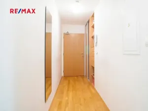 Prodej bytu 1+kk, Praha - Žižkov, Ke kapslovně, 38 m2