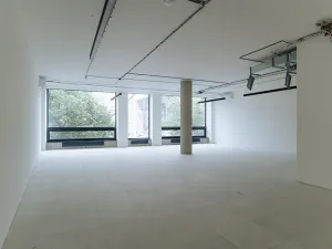 Pronájem kanceláře, Praha - Nové Město, Václavské náměstí, 327 m2