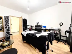 Prodej bytu 3+kk, Brandýs nad Labem-Stará Boleslav - Brandýs nad Labem, Augustina Lukeše, 107 m2