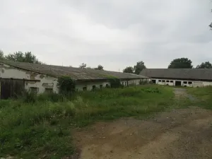 Dražba pozemku, Zhoř, 2409 m2