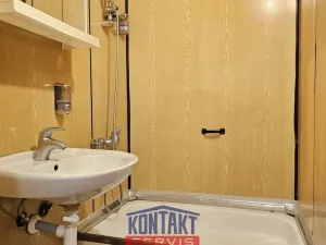 Pronájem bytu 1+1, České Budějovice, Netolická, 33 m2