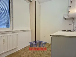 Pronájem bytu 1+1, České Budějovice, Netolická, 33 m2