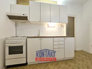 Pronájem bytu 1+1, České Budějovice, Netolická, 33 m2