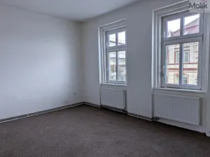 Pronájem bytu 1+1, Litvínov - Horní Litvínov, Mezibořská, 40 m2