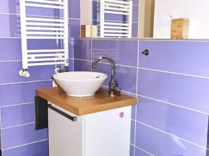 Pronájem bytu 2+kk, Plzeň, Šafaříkovy sady, 57 m2