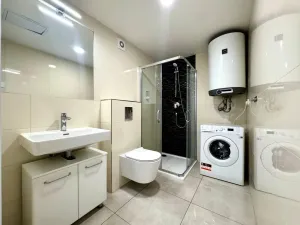 Pronájem bytu 1+kk, Praha - Nové Město, Biskupská, 49 m2