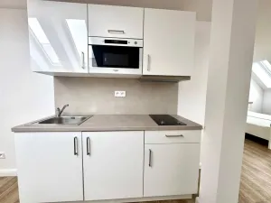 Pronájem bytu 1+kk, Praha - Nové Město, Biskupská, 49 m2