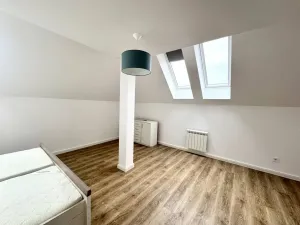 Pronájem bytu 1+kk, Praha - Nové Město, Biskupská, 49 m2