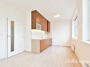 Pronájem bytu 1+kk, Brno - Bystrc, Markůvky, 25 m2