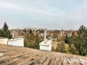 Prodej - jiné, Brno, Otakara Ševčíka, 131 m2