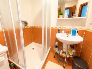 Prodej bytu 1+kk, Karlovy Vary, Jateční, 45 m2