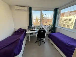 Pronájem bytu 1+1, Olomouc, Sladkovského, 32 m2