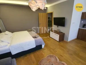 Pronájem bytu 1+kk, Třinec, Pod břehem, 34 m2