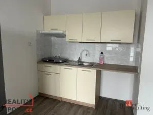 Pronájem bytu 1+kk, Rychnov nad Kněžnou, 28 m2
