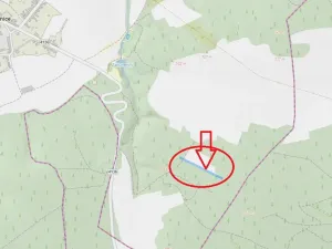 Prodej podílu lesa, Lesonice, 814 m2