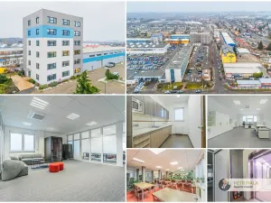 Pronájem kanceláře, Praha, Dopraváků, 240 m2