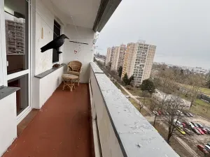 Pronájem bytu 1+kk, Hradec Králové, Jungmannova, 30 m2