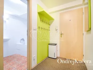 Pronájem bytu 1+kk, Praha - Nusle, K podjezdu, 29 m2