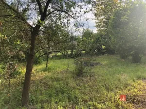 Prodej rodinného domu, Týniště nad Orlicí - Petrovičky, 115 m2