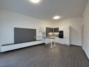 Pronájem bytu 2+kk, Brno, 54 m2