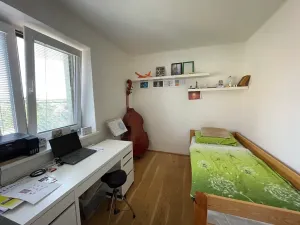 Prodej rodinného domu, Střelice, Smetanova, 250 m2