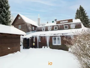 Prodej ubytování, Říčky v Orlických horách, 500 m2