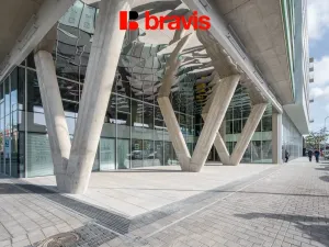 Pronájem bytu 2+kk, Brno - Staré Brno, Fuchsova, 65 m2