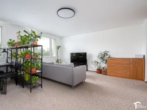 Prodej bytu 4+kk, Pardubice - Zelené Předměstí, K Polabinám, 110 m2