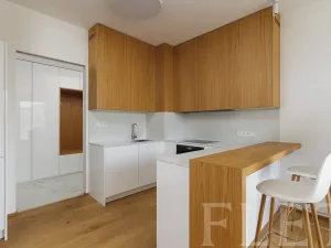 Pronájem bytu 2+kk, Praha - Bubeneč, Vítězné náměstí, 47 m2