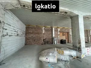 Pronájem skladu, Olomouc, 576 m2