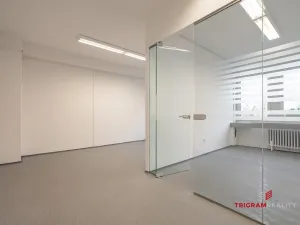 Pronájem kanceláře, Hradec Králové - Slezské Předměstí, Jižní, 18 m2