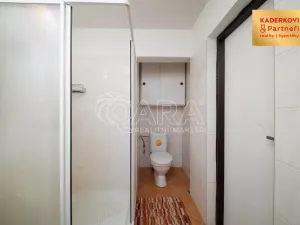 Prodej rodinného domu, Předín, 126 m2