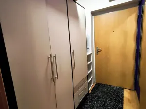 Pronájem bytu 1+kk, Plzeň, Květná, 32 m2